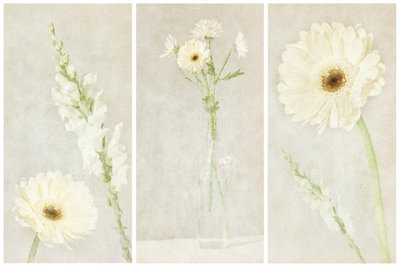 Mjuka vita blommor av Gustav Davidsson