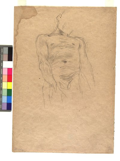 Männlicher Torso av Gustav Klimt