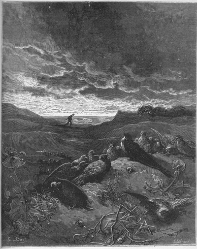 Svalan och de små fåglarna - Svalan och de små fåglarna - från 