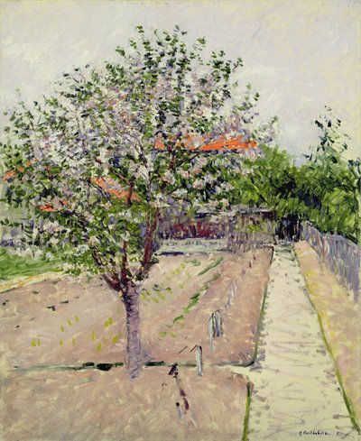 Äppelträd i blom, ca 1885 av Gustave Caillebotte