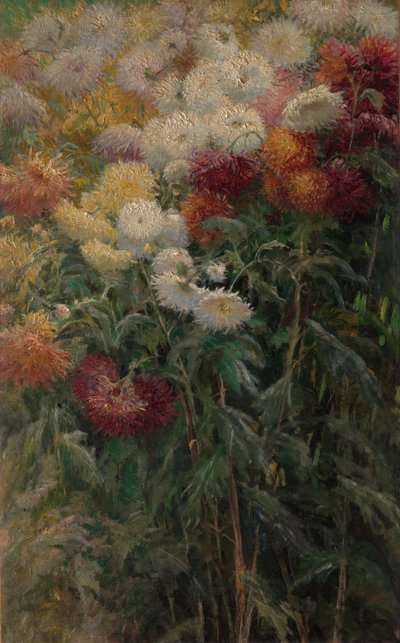 Krysantemum i trädgården vid Petit-Gennevilliers av Gustave Caillebotte