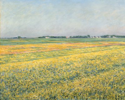 Gennevilliers slätt, gula fält; La plaine de Gennevilliers, champs jaunes, 1884 av Gustave Caillebotte