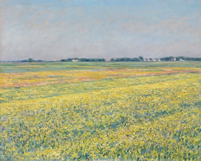 Gennevilliers-slätten, gula fält av Gustave Caillebotte
