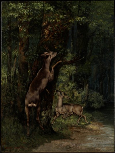 Rådjur i skogen av Gustave Courbet