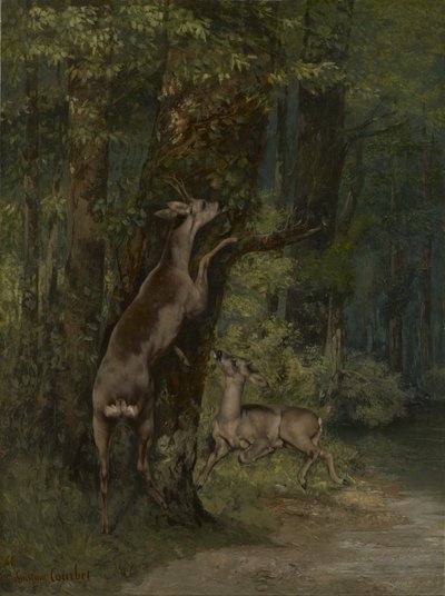 Franska: Cerfs dans la forêt Hjortar i skogen av Gustave Courbet