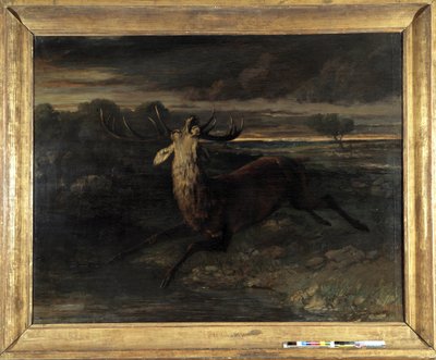 Rådjuret har vatten (jagar en löptur) säger rådjurens kraft (olja på duk) av Gustave Courbet