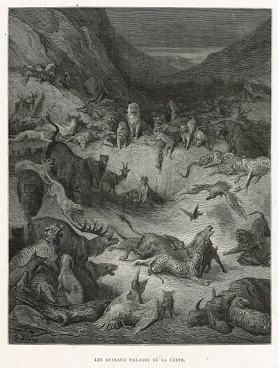 Djur som är sjuka av pesten av Gustave Dore