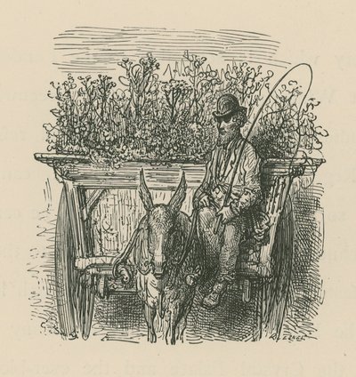 En man som kör en vagn lastad med växter och blommor av Gustave Dore