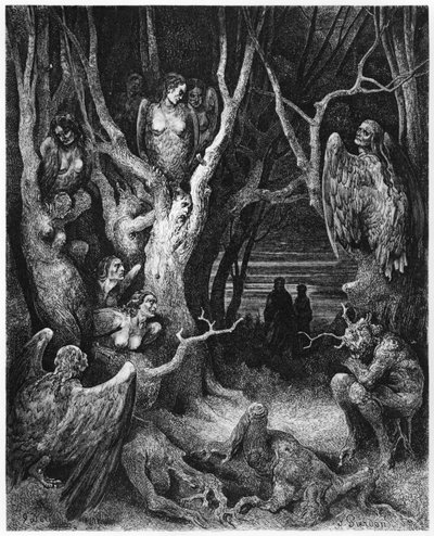 Harpies, illustration ur "Den gudomliga komedin" (Inferno) av Dante Alighieri (1265-1321) Paris, publicerad 1885 av Gustave Dore