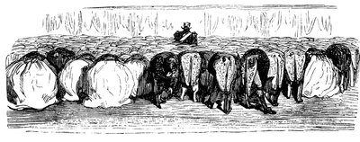 Det heliga Rysslands historia. En stor bal i Vinterpalatset, 1854. av Gustave Dore