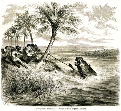 Jakt på floden Teoghe, biflod till Ngami. Flodhästharpun. Gravyr av Gustave Dore som illustrerar "les aventures et chasse du voyageur Charles-Jean Anderson dans l