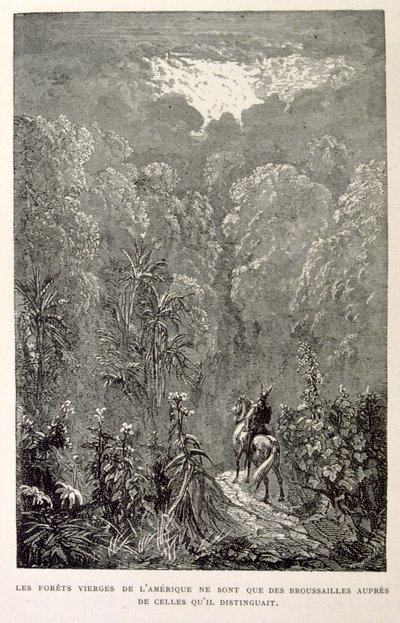 Illustration av amerikansk skog. från La legende de Croque-Mitaine. av Gustave Dore