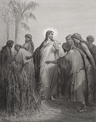 Jesus och hans lärjungar i majsfältet, illustration från Dores 