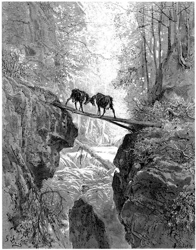 Les deux chevres: fabel av Jean de la Fontaine illustrerad av Gustave Dore - skog, bäck, bäck - av Gustave Dore