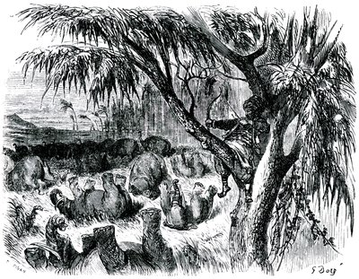 Sindbad sjöfararen (Sinbad) - berättelsen om de tusen och en (1001) nätterna - illustration av Gustave Dore - edition Maxwell 1865 - Sjunde resan: Sindbad, sittande i ett träd, drar med sin båge på elefanter av Gustave Dore