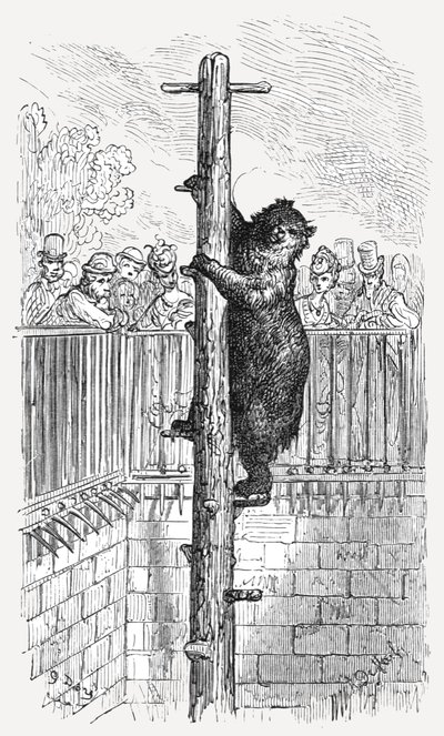 "Björngropen - Zoologiska trädgårdar", 1872. av Gustave Dore