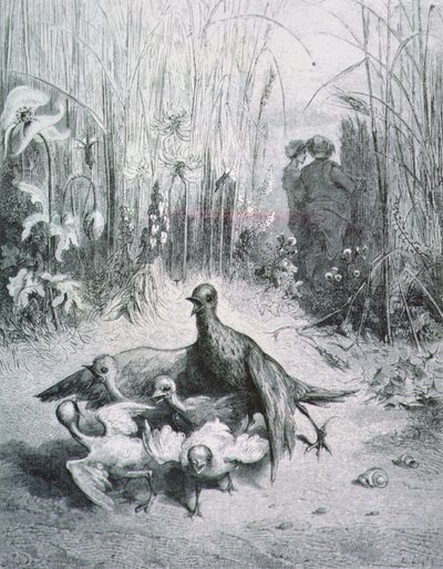Lärkans fabel, hennes unga och fältets mästare, illustration till fablerna om La Fontaine rnrn av Gustave Dore