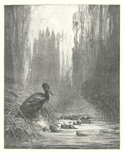 La Fontaines fabler: Skarven och fiskarna (gravyr) av Gustave Dore