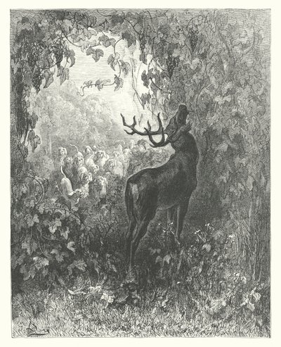 La Fontaines fabler: Hjorten och vinrankan (gravyr) av Gustave Dore
