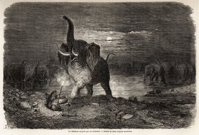 Jägaren överraskad av en elefant, nära sjön Ngami (Botswana), teckning av Gustave dore (1832-1883), för att illustrera Charles Jean Andersons äventyr och jakter i södra Afrika. Gravyr i "" Le tour du monde, nouveau journal des voyages"" Paris av Gustave Dore