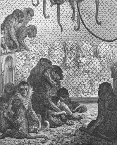 "Zoologiska trädgårdar - Aphuset", 1872. av Gustave Dore