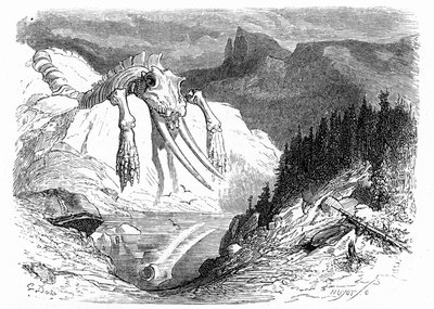 Gravyr av Gustave Dore från ca 1850: en apokalyptisk syndaflod efter vilken olika monstruösa djur har fallit ner på berget. Illustration av Hippolyte Taines bok "Journey to the Pyrenees", där förekomsten av fossila ben av Gustave Dore