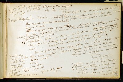 Folio 41 i arbetsboken n. 19 Manuskriptsida av Gustave Flauberts utkast. Planer för Bouvard och Pecuchet. BHVP. av Gustave Flaubert