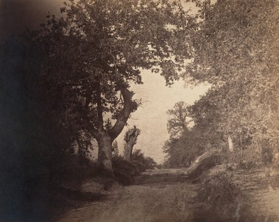 Fontainebleau, sandstig uppför, ca. 1856. av Gustave Le Gray