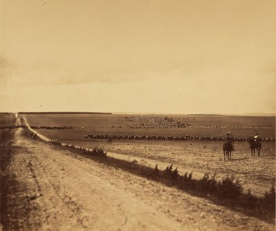 [Manövrering, Camp de Chalons]. av Gustave Le Gray