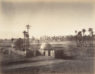 Utsikt över Thebeslätten tagen från Karnacs tempel, 1867. av Gustave Le Gray