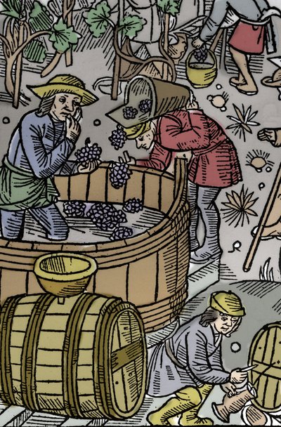 Skörd - druvskörd - Herdens kalender - Månadernas arbete - Oktober - Träsnitt från boken från 1496 tryckt av Guy Marchant (Guido Mercator) i Troyes - Trästick i "" Le grand Calendrier et compost des shepherds"" - Skörden - och th av Guy Marchant