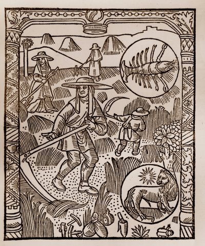 Herdekalender - Månadernas arbete - Juli - Träsnitt från boken från 1496 tryckt av Guy Marchant (Guido Mercator) i Troyes - Hay, la coupe des hay - Gravyr sur bois i "" Le grand Calendrier et compost des shepherds"" - av Guy Marchant