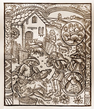Herdekalender - Månadernas arbete - Juni - Träsnitt från 1496 års bok tryckt av Guy Marchant (Guido Mercator) i Troyes - Trästick i "Le grand Calendrier et compost des shepherds"" - av Guy Marchant
