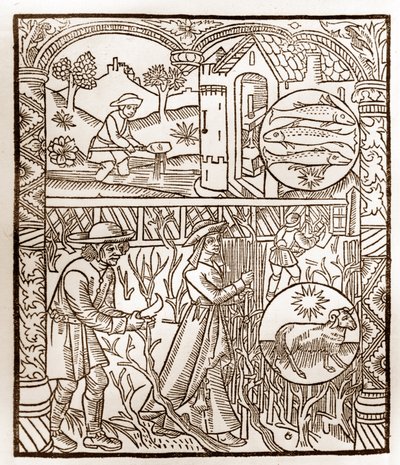 Herdekalender - Månadernas arbete - Mars - Träsnitt från 1496 års bok tryckt av Guy Marchant (Guido Mercator) i Troyes - Trästick i "Le grand Calendrier et compost des shepherds" - av Guy Marchant