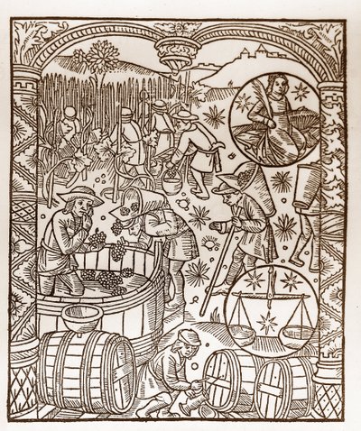 Herdekalender - Månadernas arbete - Oktober - Träsnitt från boken från 1496 tryckt av Guy Marchant (Guido Mercator) i Troyes - Trästick i "" Le grand Calendrier et compost des shepherds"" - Skörden - och tecknen på zodiaken: den av Guy Marchant