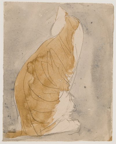 Studie av en katt (akvarell  blyerts på papper) av Gwen John
