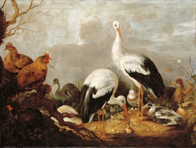 Storkar, gräsänder, höns, en häger, en groda och andra fåglar i ett flodlandskap av Gysbert Hondecoeter
