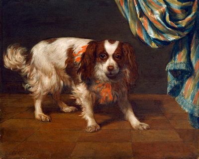 En King Charles Spaniel (olja på panel) av Gysbert van de Kuyl