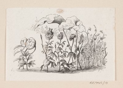 Illustration till "Den lille Idas Blomster" i H.C. Andersen, "Sagor och berättelser", volym 1 av H.P. Hansen