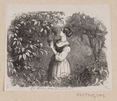 Illustration till "A Leaf from Heaven" i H.C. Andersen, "Sagor och berättelser", volym 2 av H.P. Hansen