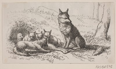 Illustration för: "Mr Mikkel" av H. C. Henneberg