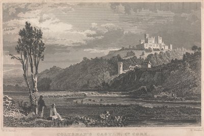 Coltmans Castle, Co. Cork; Sida 70 (Volym en) av H. Winkles