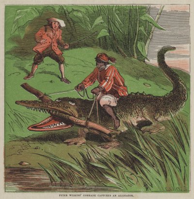 Peter Wilkins kamrat fångar en alligator (färg litho) av after Hablot Knight Browne