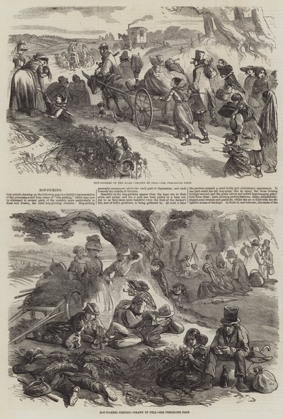 Humleplockning av Hablot Knight Browne