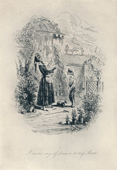 Jag gör mig känd för min faster. Etsning från David Copperfield, c1840-1880, 1923 av Hablot Knight Browne