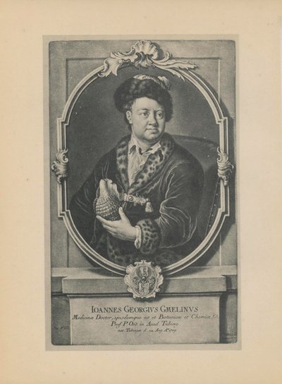 Porträtt av naturforskaren, botanikern och geografen Johann Georg Gmelin 1709-1755, mitten av 1700-talet. av Haid