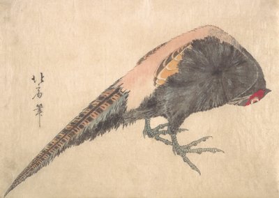 Fågel, 1830-tal. av Hakusanjin Hokui