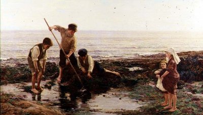 Räkor av Hamilton Macallum