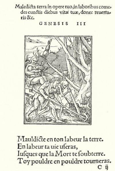 Förbannelsen över jorden och över människan (gravyr) av Hans (after) Holbein the Younger