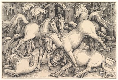 Grupp med sju hästar, 1534. av Hans Baldung